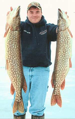 hookedupicefishnortherns